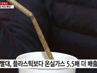 종이빨대의 진실