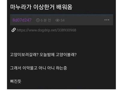 마누라 이상한거 배워옴