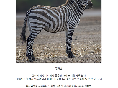 인류에게 정말 쓸모가 1도 없어서 멸종 피한 동물