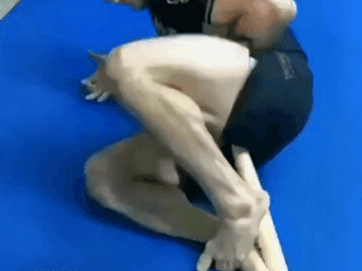 UFC 기술 연습과 실전