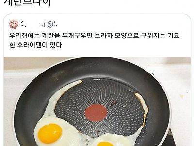 계란브라이