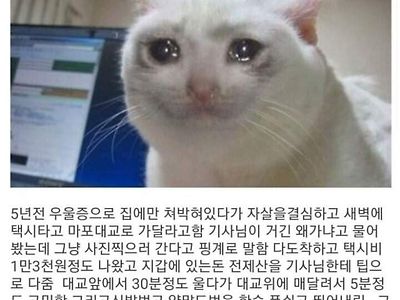 한강자살 실패한 썰