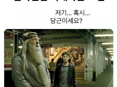 한국인만 이해하는 드립.jpg