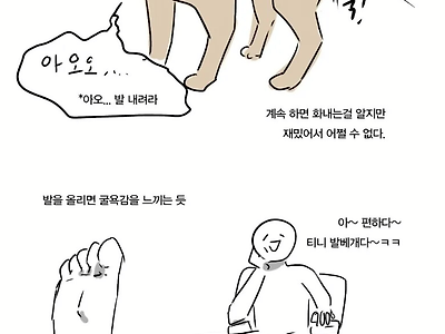 푸들의 지능을 보여주는 만화