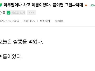 아무말이나 하고 뒤에 여름이었다. 붙이면 그럴싸하대