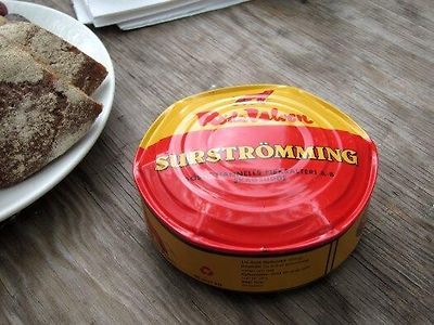 폭탄제거 실패 끔찍한 영상