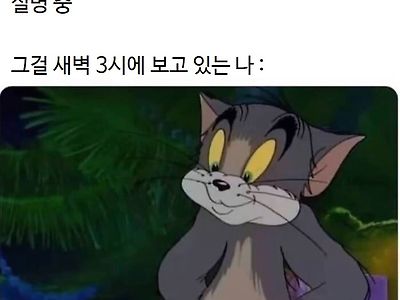 유튜브로 숙면의 중요성을 보고 있는 나