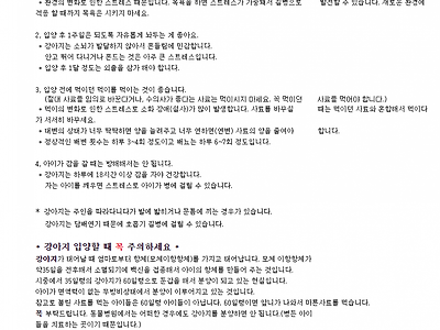 강아지 입양후 지켜야 할 사항