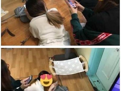 고양이 있는 친구집 놀러가면 생기는 일