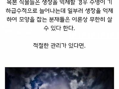 식물이 영원히 사는 방법