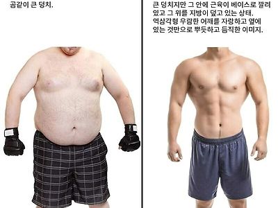 남자들이 생각하는 곰상. 여자들이 생각하는 곰상