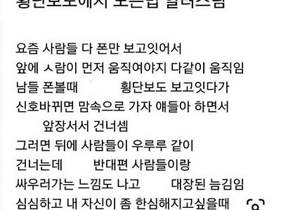 횡단보도에서 노는법