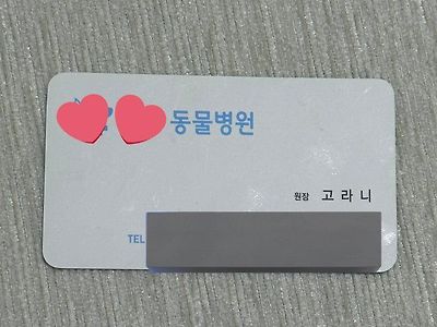 동물병원장은 고라니임