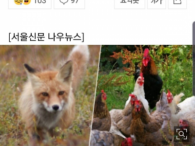 역시 싸움은 쪽수