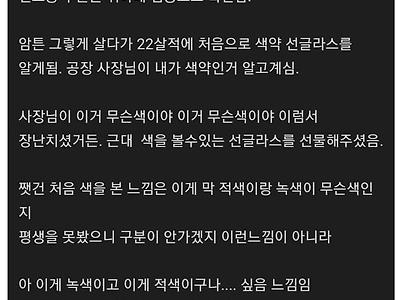 적녹색약이 색약 선글라스 처음 써본 후기