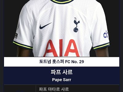 토트넘 유망주 파페 사르 나무위키 여담