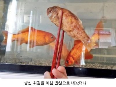 엄마가 해 준 반찬이 의심스러운 딸