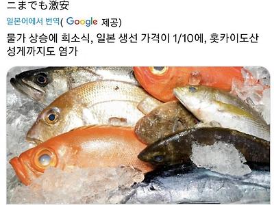 신난 일본 생선값 근황