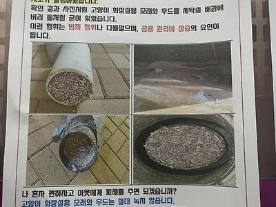 아파트 배수관을 막고 있던 뜻밖의 물질