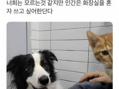 인간은 화장실을 혼자 쓰고 싶어한다