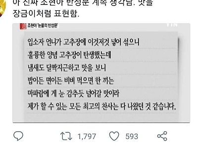 땅콩회항 조현아의 반성문