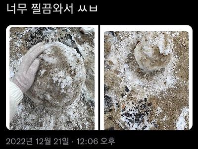 대구식 눈사람