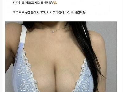 H컵녀의 브라 쇼핑몰 후기