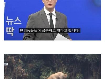 거리두기 해제 후 급증한 것