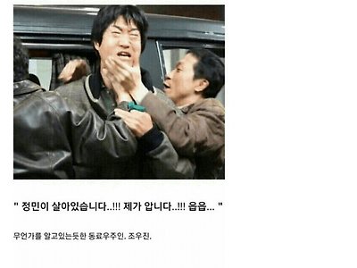 수십억 피해를 입힌 디씨인