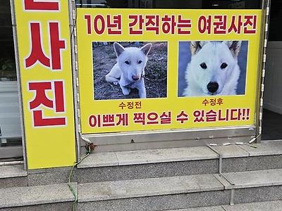여권사진 보정전후
