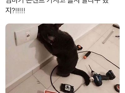 콘센트 가지고 놀지 말랬지~!!