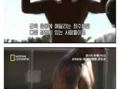 미국 수감자들이 미친듯이 근육 키우는 이유