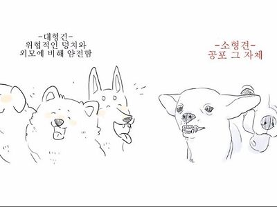 소형견 대형견 차이