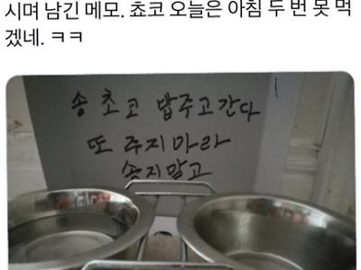 송초코 밥주고간다