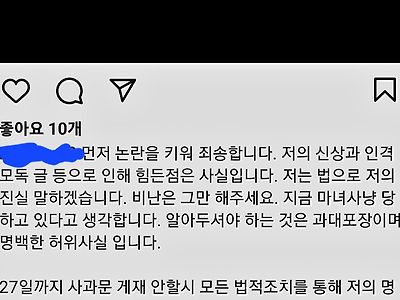[속보]표예림 가혜자 '남'씨 SNS'억울하다 호소'