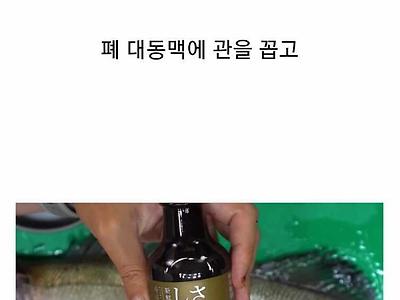 어떤 치과의사가 발명한 존나맛있는회 만드는법