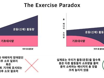 운동만으로 살 안빠지는 이유