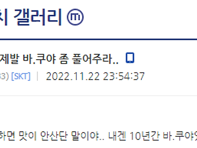 블리치의 진실;