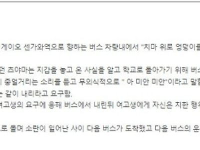 미타카 버스 성추행 무고 사건