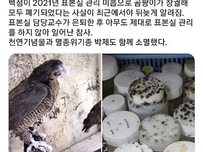 서울대 생명과학부가 80년동안 모은 동물 표본 수백점 폐기