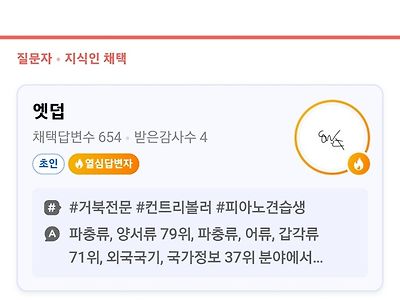 거북이가 거북