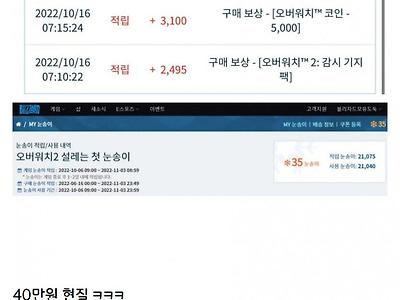 오버워치2 40만원 현질해서 키리코 장패드 받은 디시인