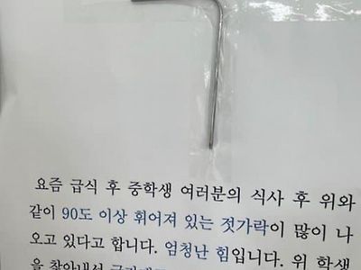 흔한 여자 중학교 특징