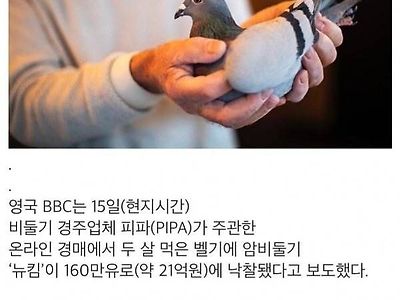 낙찰가에 충격받은 전 주인.jpg