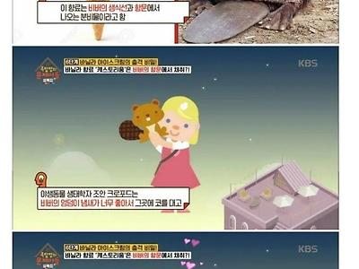 바닐라향의 비밀.jpg
