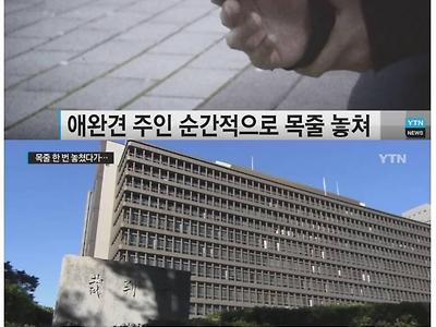 한국은 죽어도 무죄인데?