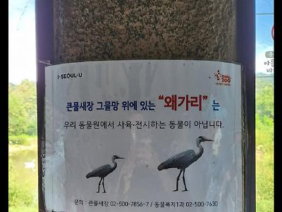 나폴리탄 괴담류 甲중의 甲