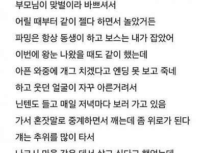 납골당에서 게임하는 사람