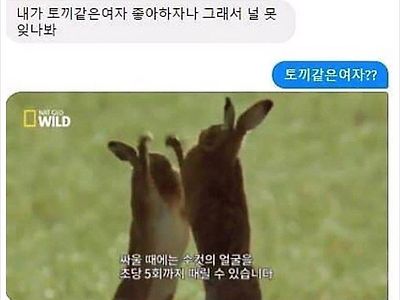 토끼같은 여자