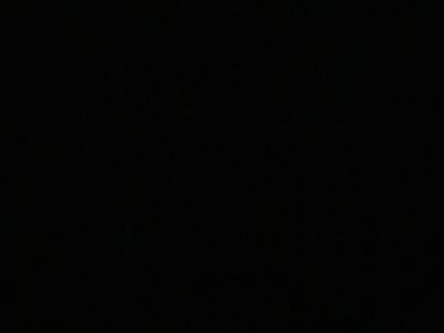 첼시의 미래
